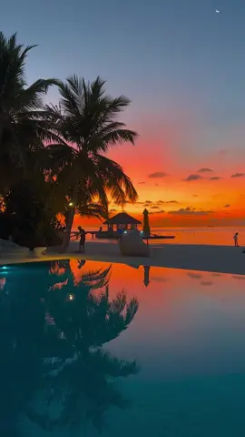 There is Nothing Quite Like a Sunset in the Maldives 🇲🇻🤍 #maldives #travel #traveller #traveler #sunset #sunsets #view #views #ocean #oceanview #pool #asia