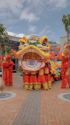 Did you catch a glimpse of the magnificent Giant Mauloulou at Bagatelle Mall this weekend? 🐲🧧  We were all captivated by the grandeur of the Biggest Lion Parade in Africa! 😲🤩  #bagatellemall #ascenciamalls #chinesenewyearmauritius #mauritius #mru #mauritius🇲🇺 #mru🇲🇺 