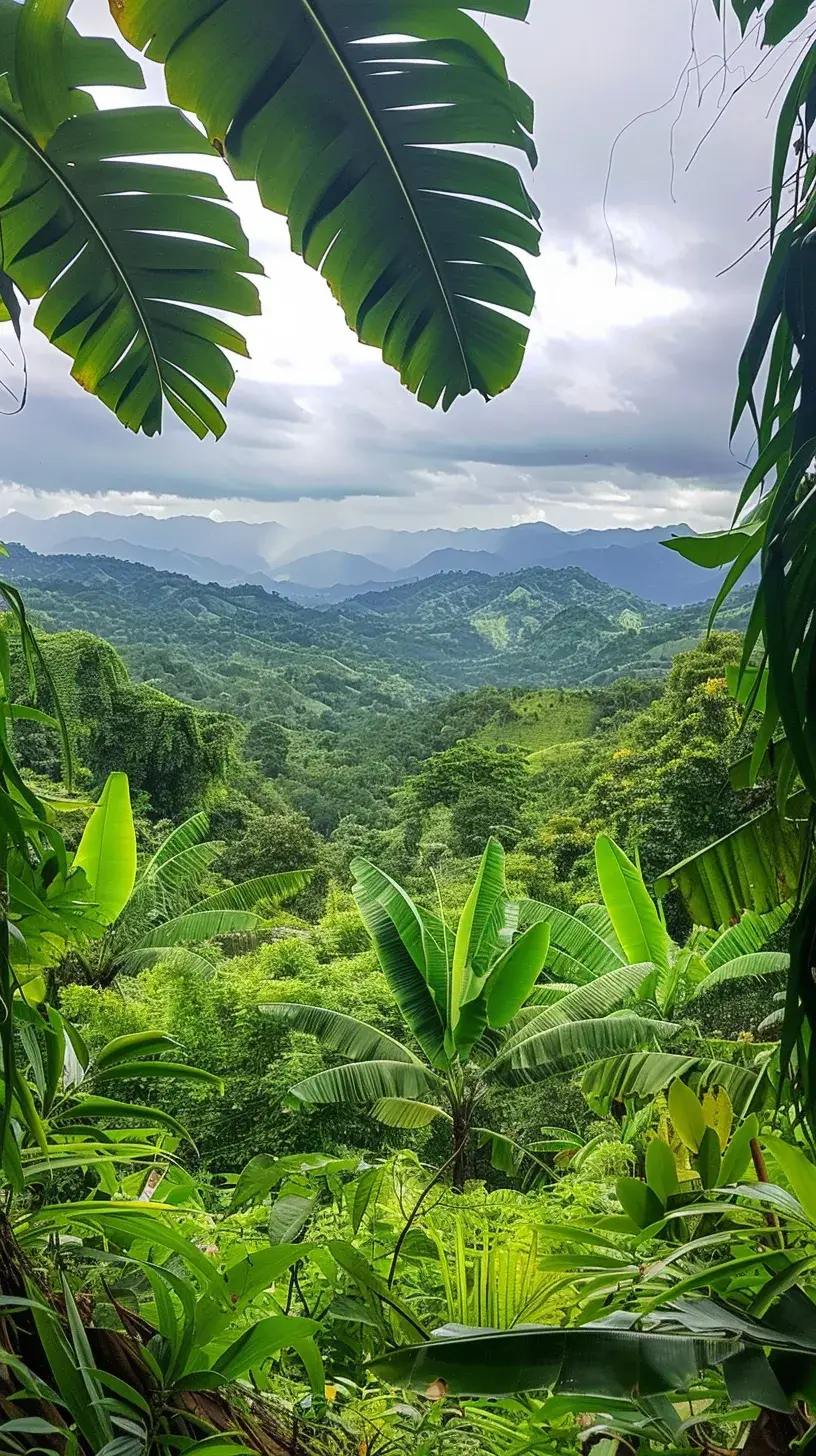 a view from inside a dense tropical jungle with a focus on distant foliage --ar 9:16 --v 6.0 #ethicalai #artificialintelligenceart #aiart #creativeinspiration #midjourneyart #foliage 