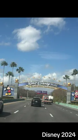 Impromptu Disney trip! #disneyworld #magickingdom #epcot #animalkingdom #mickeymouse #florida #roadtrip #cheers #disneyboardwalk 