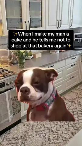 ✨Mr Kipling from now on 😅😅✨ #ithinkivejustmadeahashtag #fyp #foryoupage #couplesgoals💞 #menbelike #cakemaking #MemeCut 