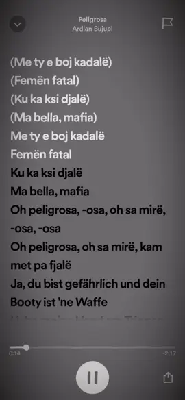Peligrosa - Ardian Bujupi #lyrics #albaniensongs #spotify #songs #foryoupage #fyp #foryou #viral #ardianbujupi 