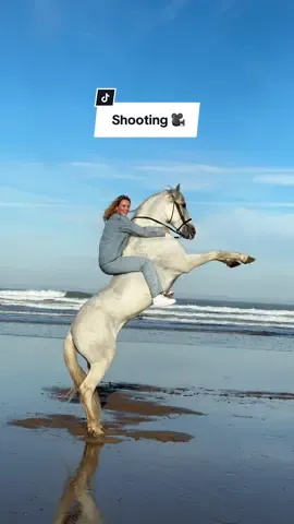 We make your dreams come true! 🚀 No saddle, no bridle and Balios, the real life unicorn, are the perfect combo 🤍 . . #chevalessaouira #fyp #horseriding #horsegirl #horsemanship 