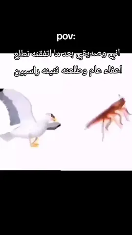 #akrmmohamed #رياكشن #العراق #ساد #اصدقاء #CapCut #مميز_ضحك 