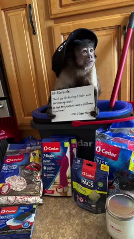 🧹🧻🧽 did y’all see my video that went viral 22mil in 3 days! They sent me a goodie box!!! @O-Cedar #ocedarspinmop #ocedarmop thats a good comapny! One you truly use their products and happen to be in a viral vid that doesnt ask for anything in return but send you goodies!!! 
