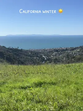 On my daily beach walk #beach #socal #southerncalifornia #winter #newportbeach #lagunabeach #almostsummer #winterweather #alwayssunny #california #sunny #Hiking #beachwalk #grateful #Home #orangecounty #oc 