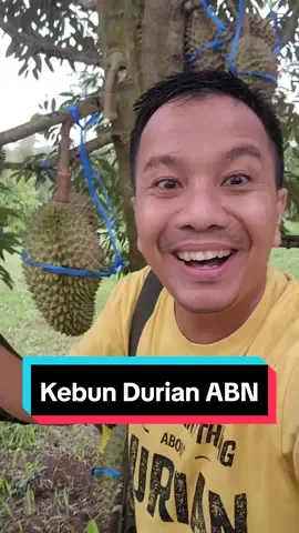 Kebun Durian Super Luas dan Indah. ABN Farm, Kp. Legoknyenang, Desa Raksabaya,  Cimaragas, Ciamis. #Delongan #Durian #duriantraveler #durianlover #durianranahminang #Musangking #tipsdelongan   #durianman #durianpadang #durianmalaysia #malaysia #raub #penang #durianindonesia #indonesia #berkebun #longervidios 