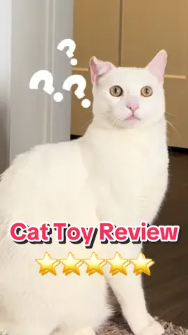 Definitely bringing this out for them when I’m working from home #cattoy #funnycats #sharingiscaring 