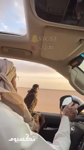 نكسيوم