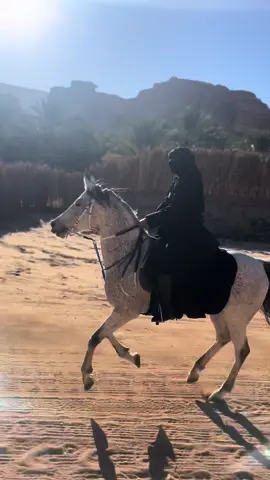 #خيل #fyp #العلا #فعاليات_الشتاء #هاشتاق_السعودية #alula 