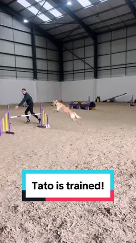 He might be a menace but he’s a trained menace 😌😂