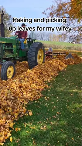 Yes honey i will rake and pickup the leaves!! #agriculture #leaves #tractor #johndeere #newholland #farmer #fyp  #viral #foryou  #rakingleaves #leafremoval #familyfarm #farmingtiktok #farm