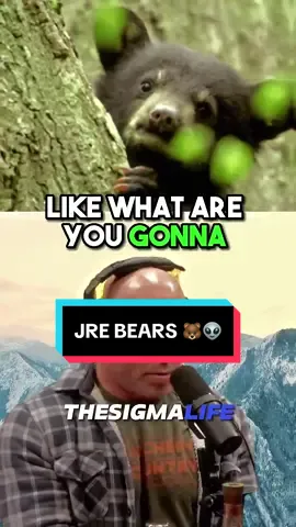 Joe Rogan on his TERRIFYING Grizzly Bear ENCOUNTER | JRE 🐻 #jre #joerogan #animalshorts #bears #kammiechristo 👽