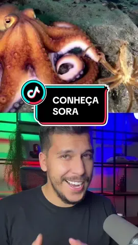 🚀🎥 OpenAI lança Sora! Capaz de criar vídeos realistas em minutos - acesso limitado devido a riscos potenciais. 😲 🔍 Google apresenta Gemini 1.5 PRO - análise profunda com +1M de tokens. Exemplo? Localiza cenas em filmes com detalhes incríveis. 🎬 🌟 2024 promete ser revolucionário para IA! Fique ligado. Siga para mais updates.  . . . . #IA #tecnologia #Inovação #curiosidades #chatgpt #microsoft #inteligenciaartificial #IA #Futuro #inteligênciaartificial 