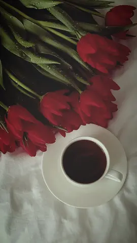 يسعد صباحكن#احلى صباح#صباحكم_سعادهـ🌸🍃 #صباحكم_سعادة_لاتنتهي #صباح_الورد #♥♥✨✨ #نبض_قلبي #اكسبلورexplore 