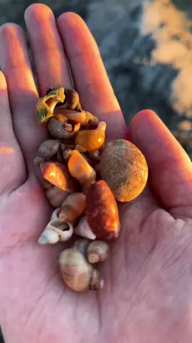 tiny treasures 🥹