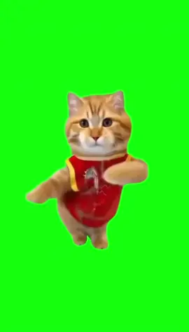 #猫ミーム #猫ミーム素材 #猫マニ#ねこマニ #おすすめ #fyp #ねこ #猫 #猫可愛い #猫ミーム日常 #fypシ #猫素材 #猫ダンス #ホドモエシティ 