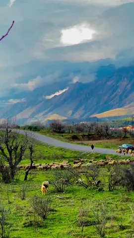 هلورا🥰❤️😍🌎#sheladze #kurdish #hlora #شيلادزي_هه_مي_ره_نگ😊👌 #raaabin #foryou #kurdistan #duhok #zaxo #iraq #foryoupage #wane #kurdstan #شيلادزي_دهوك_ئاميدي_ئاكري_زاخو #اربيل_دهوك_سليمانية_كركوك_بغداد 