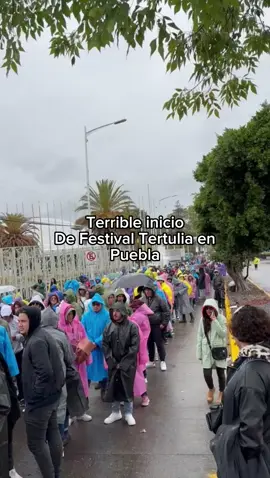 Festival Tertulia fracaso 