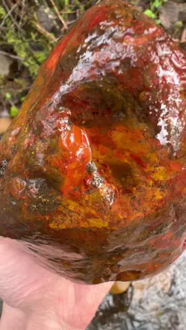 This is the best piece of jasper I’ve ever found and cut open!!😍 #jasper #rocks #washington 