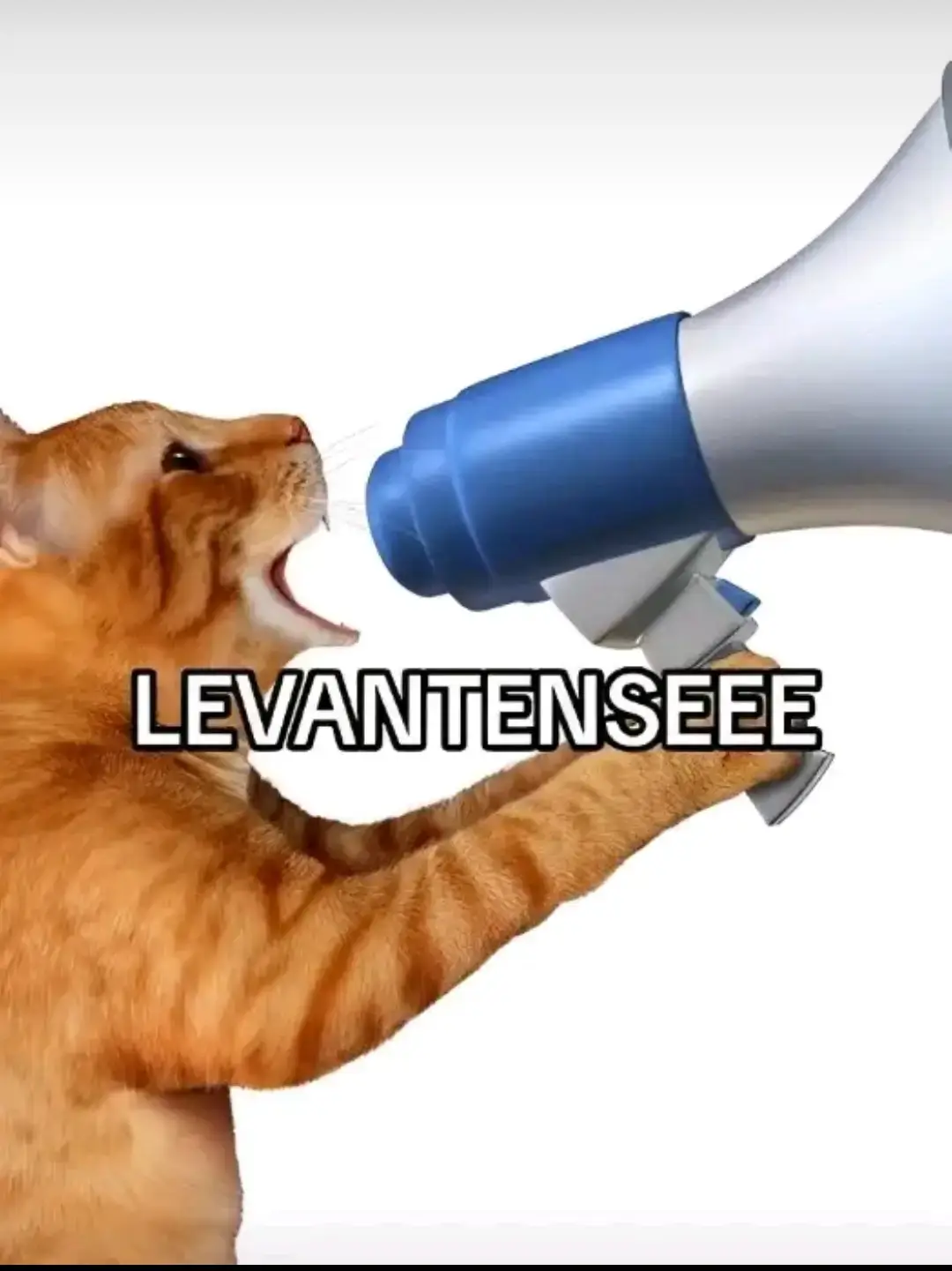 LEVANTENSEEEEEE#fypシ #fyp #fy#trending #Minecraft #viral #levantense 