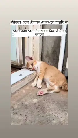 🙂😫#সিনিয়র_আপু #ফানি_ভিডিও #কমেডি_কুইন #viralvideo #viraltiktok #unfrezzmyaccount #foryou #funny #foryourpage #stutas_video #comydy_stutus #fyp #viral #CapCut 