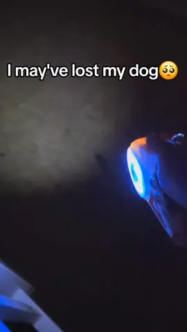 I wish I got this sooner!🐶 . . #tiktokshop #dog #fyp #dogsoftiktok #dogleash #leddogleash 