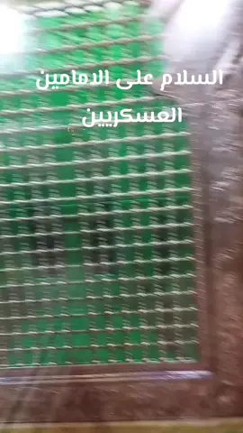 #الامامين_العسكريين #قصائد_حسينية #سامراء_مدينه_الامامين_العسكريين 