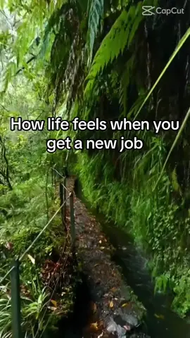 Its like a weight lifted off my shoulders 🥲 #howlifefeels #trending #recruitment #officelife #worklife #newjobs #jobsuk #memes #workmemes #workmemesgetmethroughtheday #work 