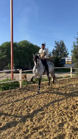 Last ride on Campero before we head back home to The USA! Not long until Camperó takes the same flight! #SpanishHorse #Love #Family #Spain #PRE #HorsebackRiding #Stallion #Stud #BreedingStallion #NobleSteed #Steed #Warhorse #horsesoftiktok 