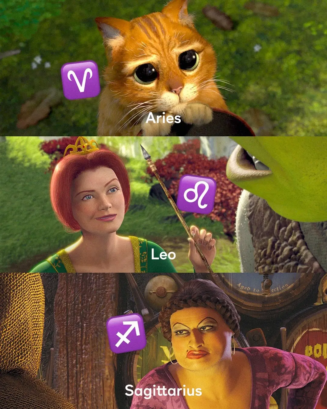 The Shrek star signs (objectively correct edition) ✨ #Shrek is streaming now on Peacock.  #PussInBoots #LordFarquaad #PrincessFiona #Astrology 