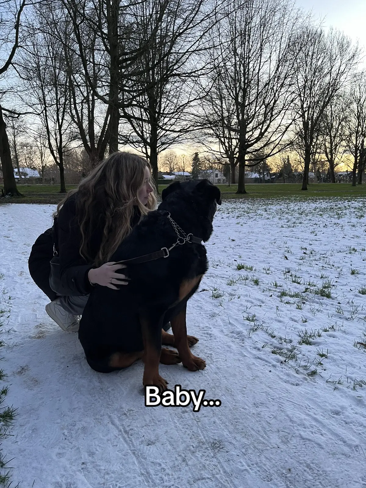 #rottweiler #dogsoftiktok #fyp