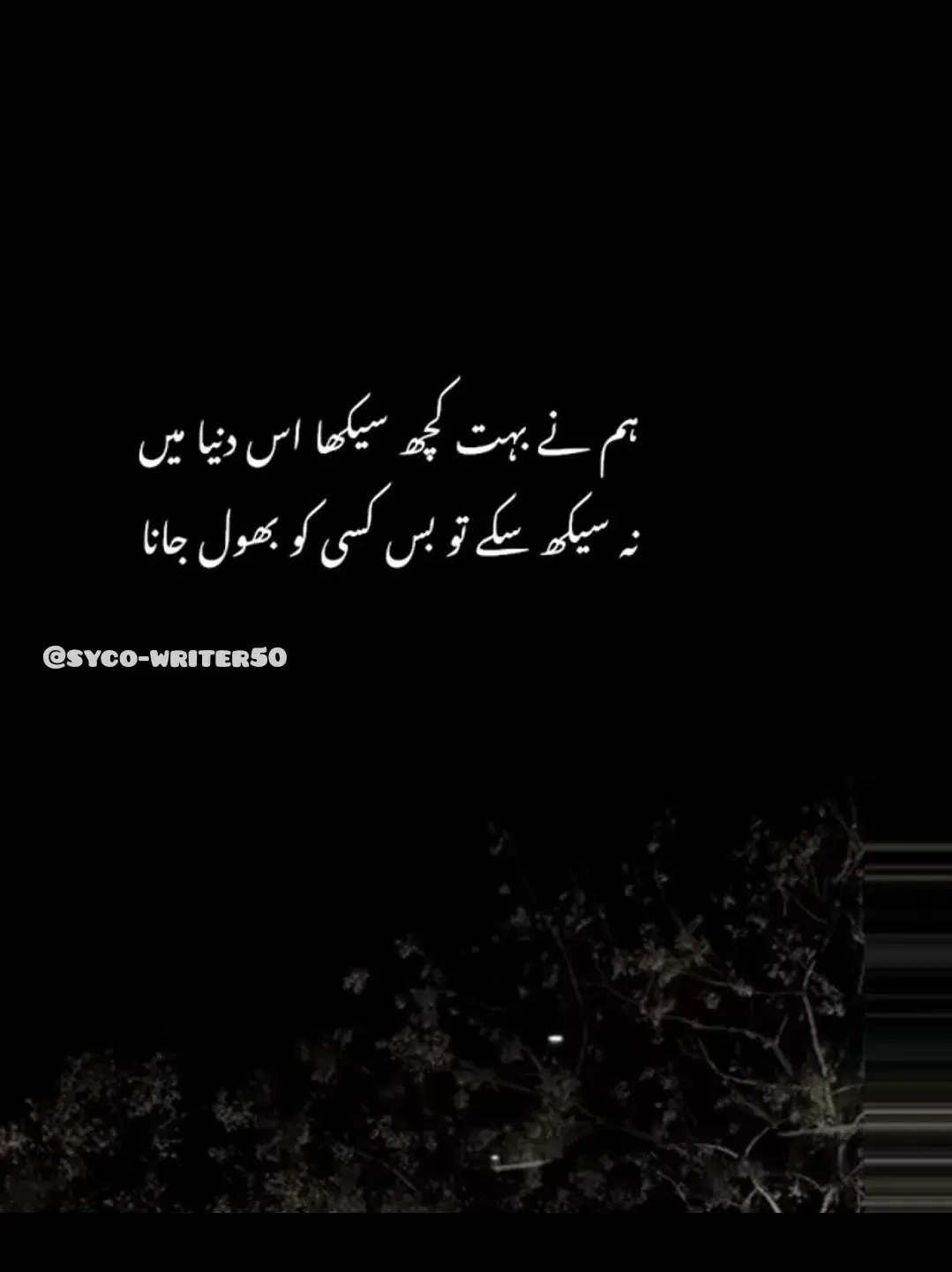 comment main btay kon c line sad hai zyada 💔🩹🤕🤒😭🥺😫#foryou #foryoupage #Trending #tiktok #goviral #poetry #poetrylines #urduline #100k #burhantv #standwithkashmir #standwithkashmir_foryou_viral @Deep Lines 🥀 @CupcutOffical @TiktokPakistanOfficial 