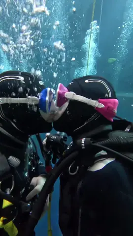 Happy Valentine‘s Day ! ❤️🏳️‍🌈 • What are your plans for valentine? ❤️😍  . Tell us in the comments. 🤿 . #diver #diving #scubadiver #scuba #scubadiving #scubagirl #scubadive #scubagear #tauchen #taucher #taucherin #unterwasser #underwater #instadaily #instareels #couple #couplegoals #girlsthatscuba #couple #couplegoals #OWD #AOWD #buddy #divebuddy #padi #valentines #engagement  #kiss #romantic #Love #instlove