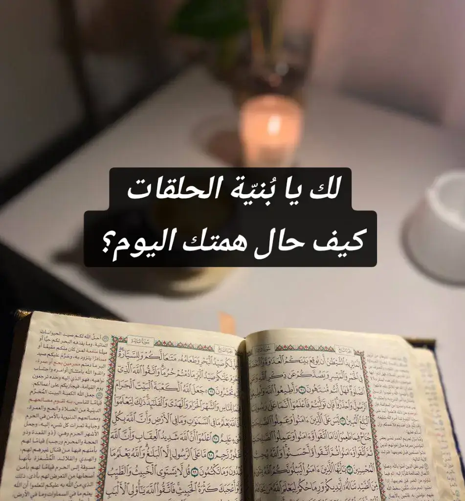 #alaaallah77 #foryou #حفظ_القران #أهل_القرآن  @حارســة الـقـرآن🤍 @لا أبرح حتى ابلغ🤍 @🤍 جوهرة الجنة 🤍 @يوميات معلمة 🤍 @eslam9627 #تحفيظ_القرآن_الكريم 