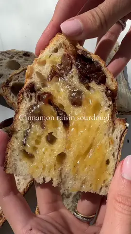 Cinnamon raisin sourdough loaf!! Sourdough guide for beginners is on my insstagram #fypシ #fyp #sourdough 