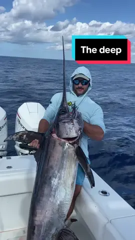 You never know what you might find in the deep. Follow the insta link in bio for more. Tiktok no fish were harmed in this video. #florida #offshore #shark #tuna #wahoo #deep #animals #reef #nature #fish #fishing #fishtok #snapper #grouper #Lyonfish 