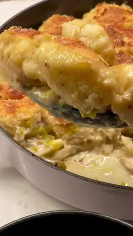 chicken and leek pot pie topped with dumplings 💃💥 #chicken #leek #potpie 