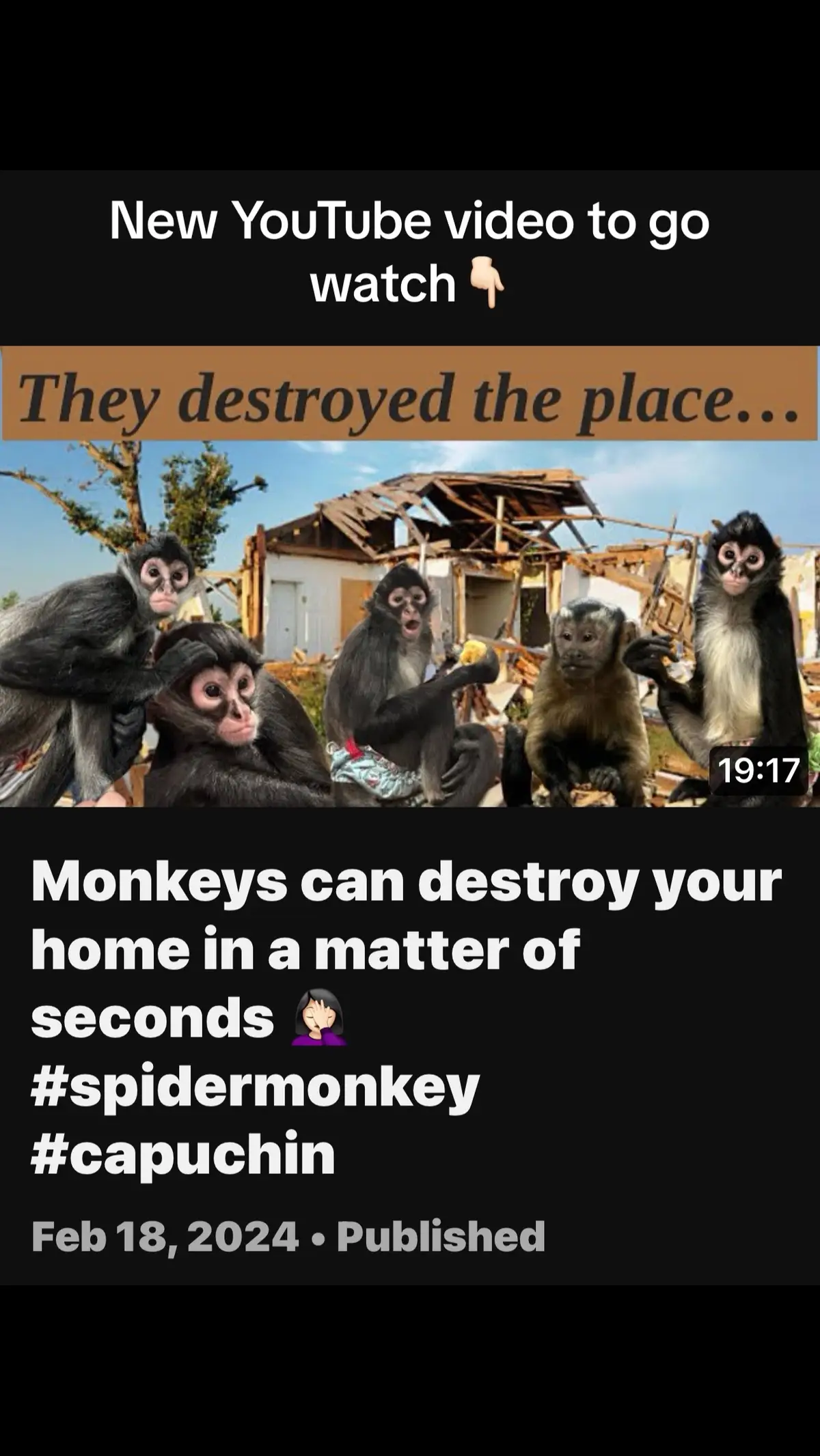 We set the monkeys up today for y’all’s entertainment. Head over to our YouTube page to watch 🤣