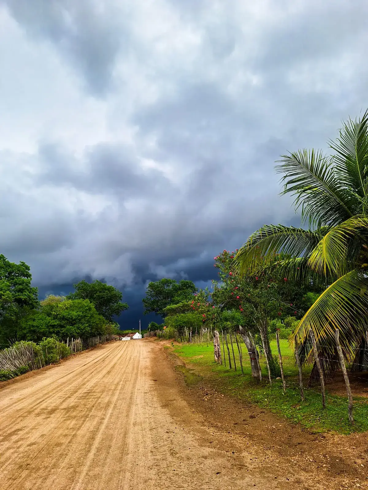 Sertão 😍 #sertaodonordeste🌵 #natureza #chuva #gratidao 