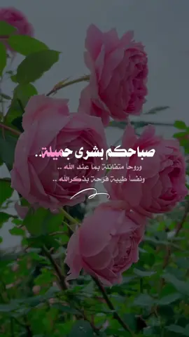 #صباح_الخير‬⁩ ⁧‫#صباح_الخير_والسعاده‬⁩  ‏صباحكم بشرى جميلة ‏ تلف الآفاق فرحاً ..  ‏وروحاً متفائلة بما عند الله .. ‏ ونفساً طيبة فرحة بذكرالله .. ‏  