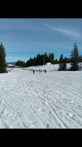 Ein ganz entspannter und gemütlicher Ausflug im frühlingshaftem Skigebiet Garmisch-Classic oberhalb von Garmisch-Partenkirchen bei schönstem Wetter und ziemlich warmen Temperaturen...Hausberg / Garmisch-Classic / Garmisch-Partenkirchen / Werdenfelser Land / Oberbayern / Deutschland / Germany...