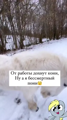 #жизаиточка #хорошегонастроения #😂😂😂 #работа