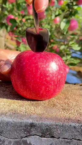 👩‍🌾🫠👍🏻🍎 Apples are very crispy and sweet #Love #apple #fruit 