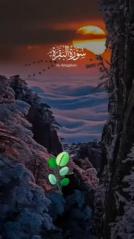 #suratulbaqarah #duaforpalestine🇵🇸 #mashallah #fypシ゚viral #foryoupage #foryoupageofficiall #foryou #quranrecite💖 
