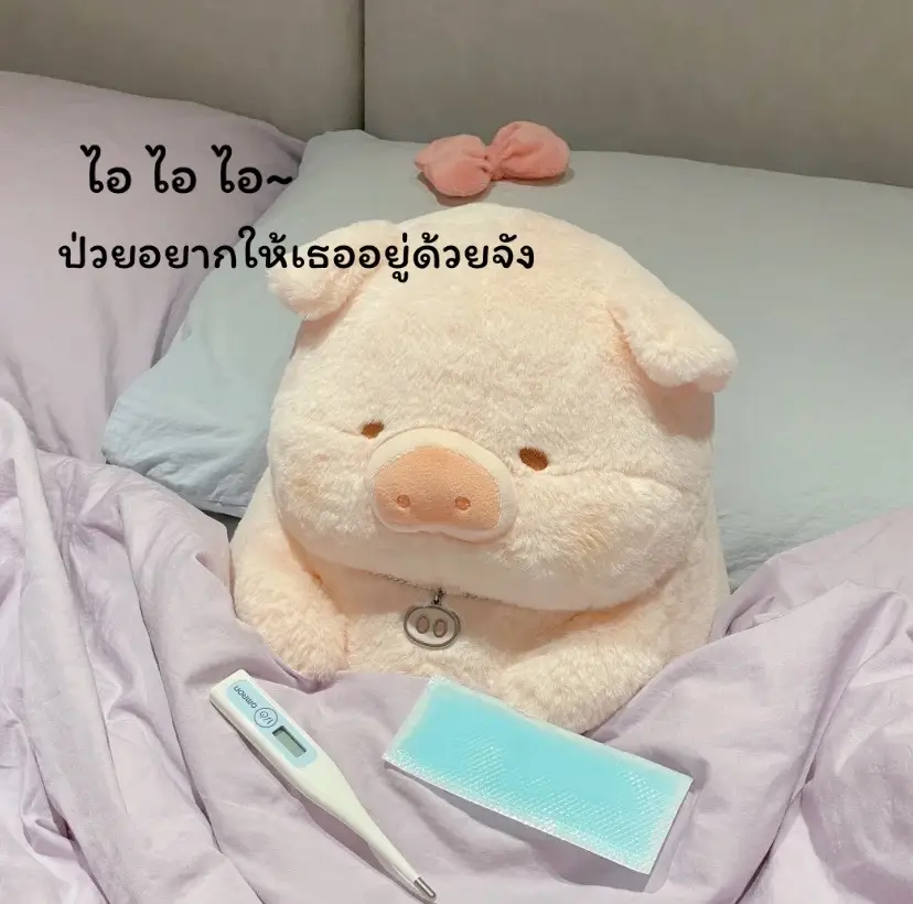 #แท็กแฟน #สตอรี่_ความรู้สึก😔🖤🥀 #ตุ๊กตาlulu #ตุ๊กตา #ตะกร้าหน้าโปรไฟล์เลยจ้า 