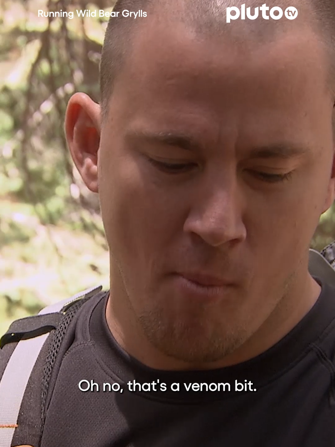 just channing tatum casually eating a poisonous scorpion #RunningWildWithBearGrylls  #BearGrylls  #ChanningTatum  #PlutoTV  #PlutoTVUK