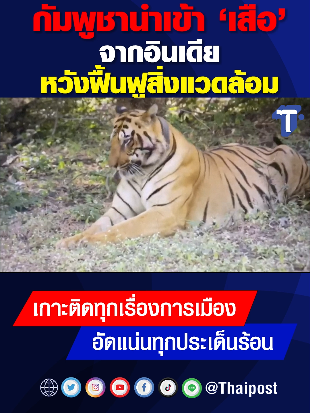 กัมพูชานำเข้า ‘เสือ’ จากอินเดีย หวังฟื้นฟูสิ่งแวดล้อม #ข่าวtiktok #ไทยโพสต์  #thaipost