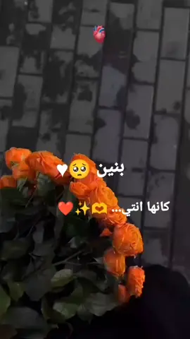 عدكم هاي الورده 🫶🏽❤.. @ #حالات_واتس #تصاميم_فيديوهات🎵🎤🎬، #الشعب_الصيني_ماله_حل😂😂 #منشن 