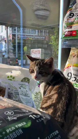 #มีอีกมั้ย #ฟีดดดシ #❤️‍🔥😾